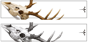 White Water Deer Skull Arrow Wraps